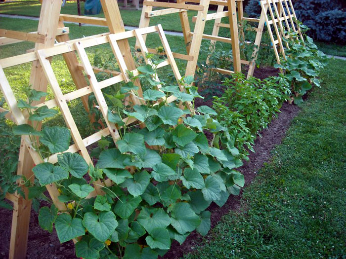Ιδέες DIY Garden Trellis