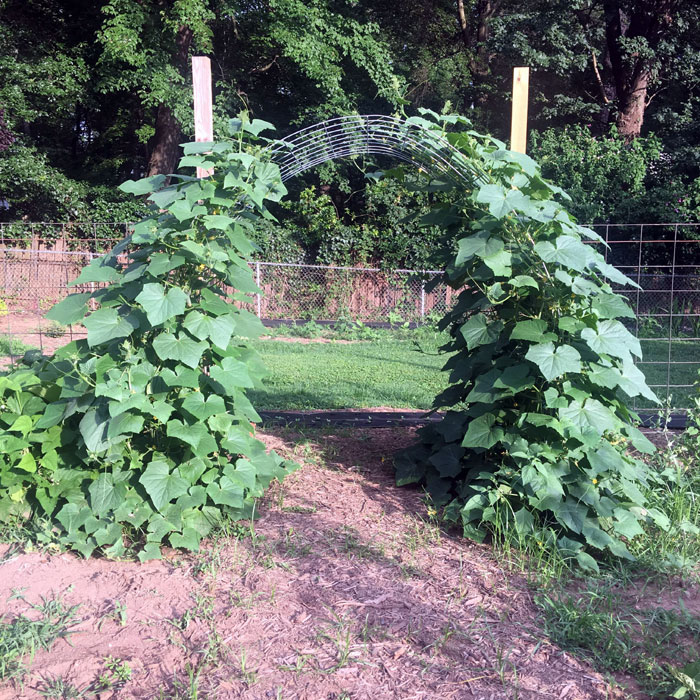 Ιδέες DIY Garden Trellis