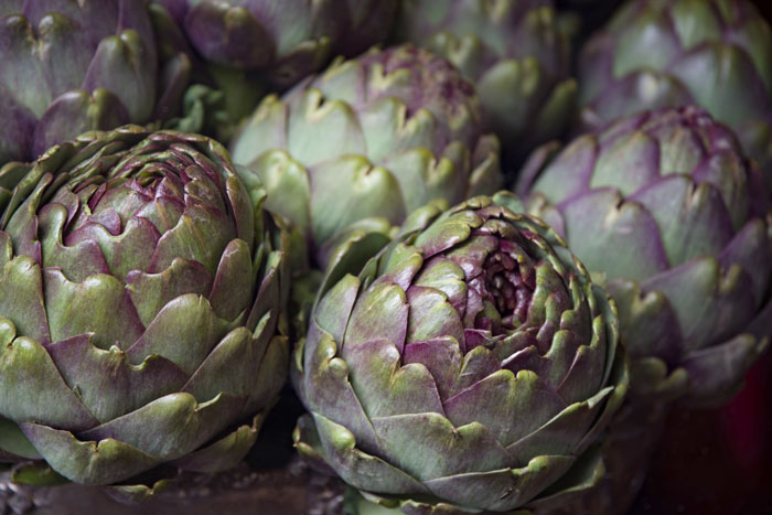 Globe Arnichoke (Cynara Cardunculus)